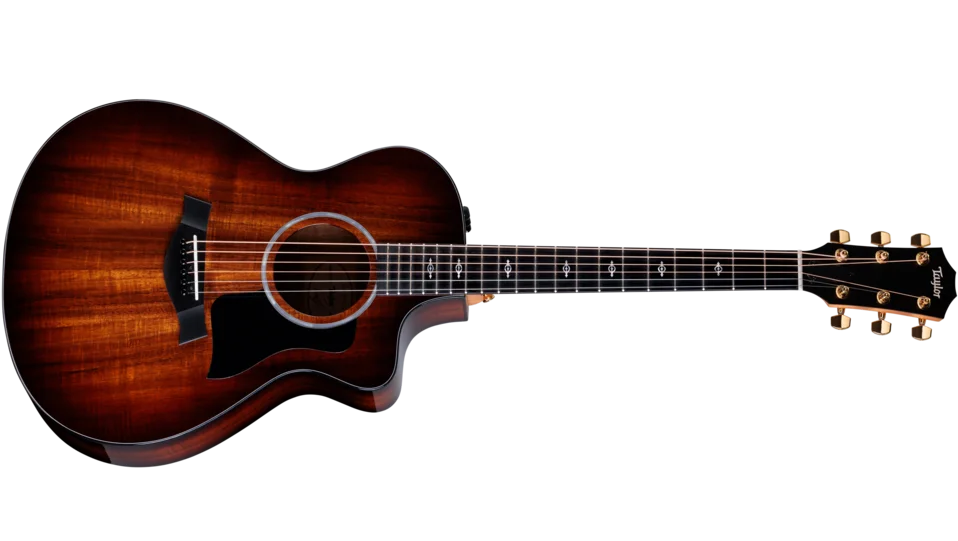 222ce-K DLX ハワイアン・コア アコースティック エレクトリック